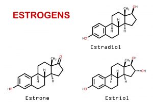 Estrogen-thao-duoc