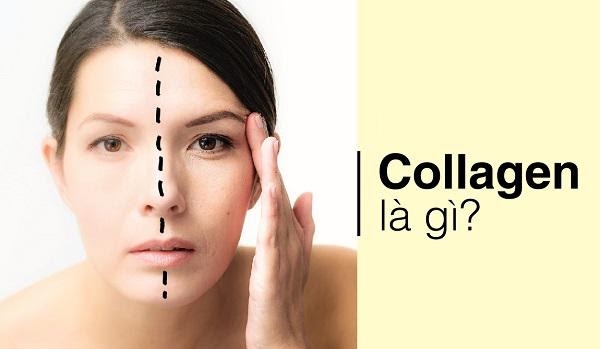 Collagen-la-gi