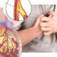 Bệnh tim mạch – Nguyên nhân, dấu hiệu và cách phòng ngừa hiệu quả