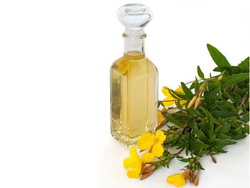Tinh dầu hoa anh thảo là dược liệu quý trong ngành làm đẹp