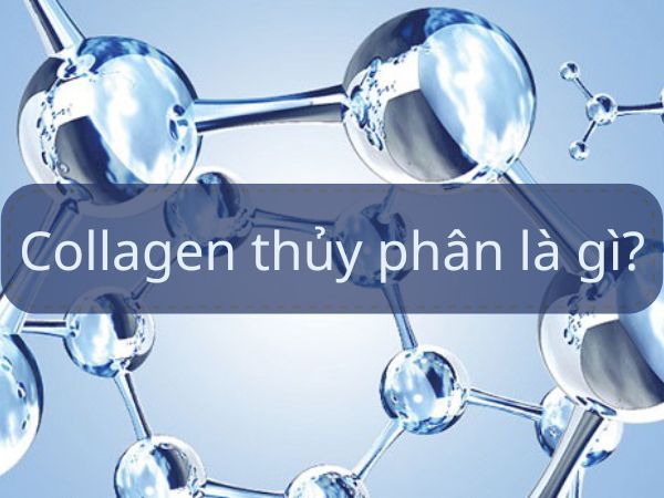collagen-thuy-phan-la-gi